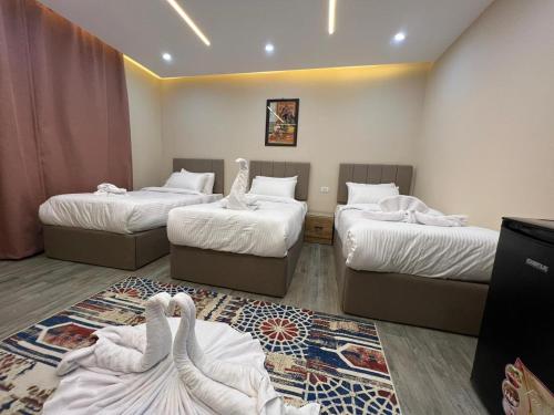 Imagen de la habitación del Pyramids Hotel, Giza. Foto 14