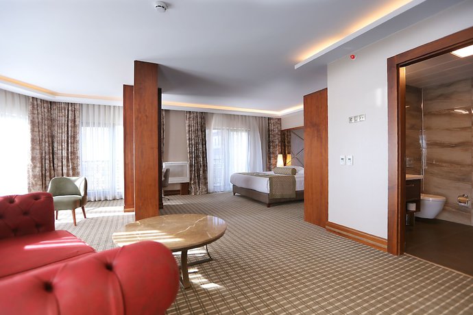 Imagen de la habitación del Q Hotel. Foto 8