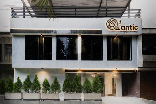 Imagen general del Qantic Lodging. Foto 1