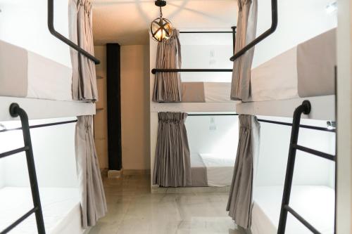 Imagen general del Qantic Lodging. Foto 8