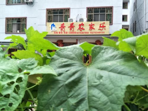 Imagen de la habitación del Qing Qing Inn. Foto 7