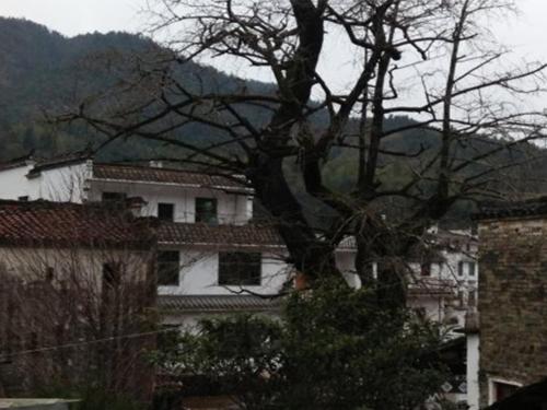 Imagen general del Qingyuan Yinxing Farm Stay. Foto 1
