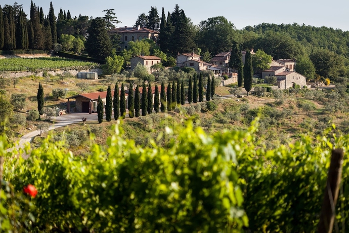 Imagen general del Querceto di Castellina. Foto 1