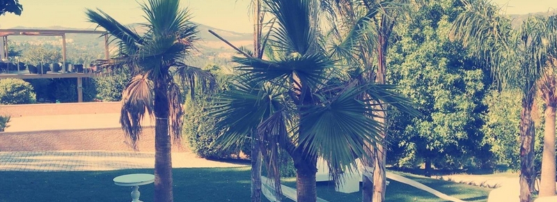 Imagen general del Quinta D. Jos&eacute;, Jovim. Foto 3