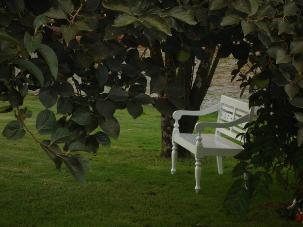 Imagen de los exteriores del Quinta Das Alfaias - Turismo Rural. Foto 5