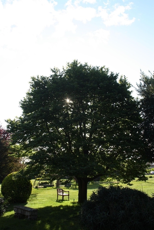 Imagen de los exteriores del Quinta Das Alfaias - Turismo Rural. Foto 7