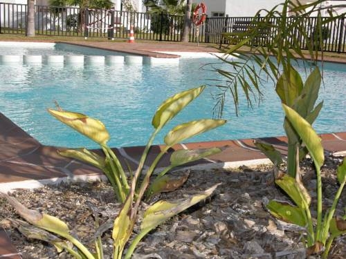 Imagen general del RC Las Terrazas de la Torre Golf Resort. Foto 8