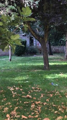 Imagen general del RESIDENCIA HOSPITAL DEL REY. Foto 10