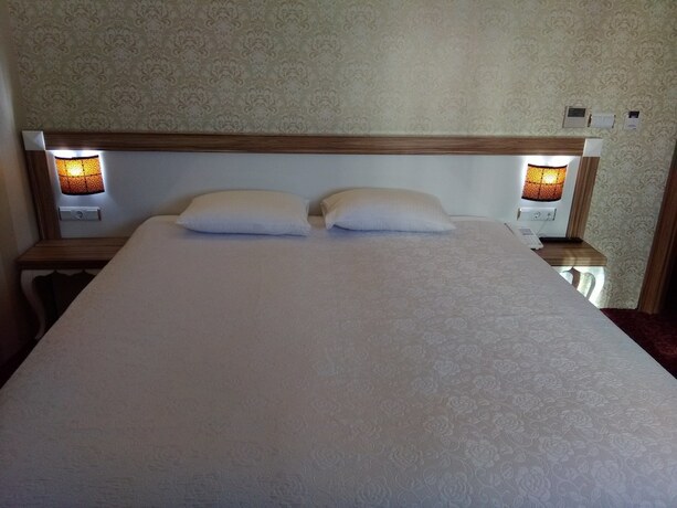 Imagen general del RMS Atlas Otel. Foto 5