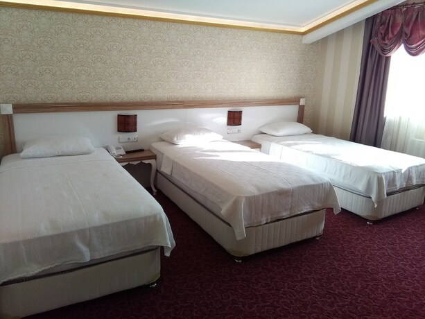 Imagen general del RMS Atlas Otel. Foto 9