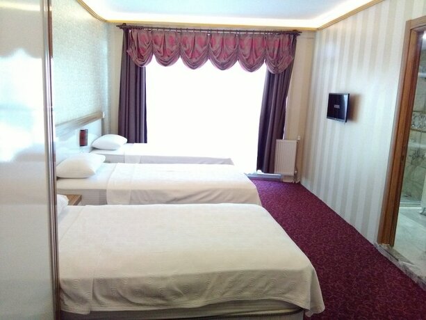 Imagen general del RMS Atlas Otel. Foto 13