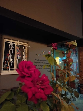 Imagen general del ROTA GEZGİN PANSİYON. Foto 2