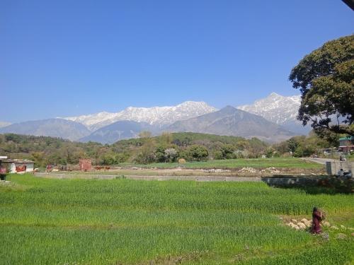 Imagen de la habitación del ROYAL HOME STAY. Foto 20