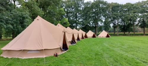 Imagen general del RacingTours RaceCamp - Spielberg. Foto 3