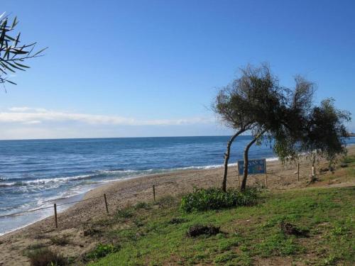 Imagen general del Rancho Grande, Marbella. Foto 12