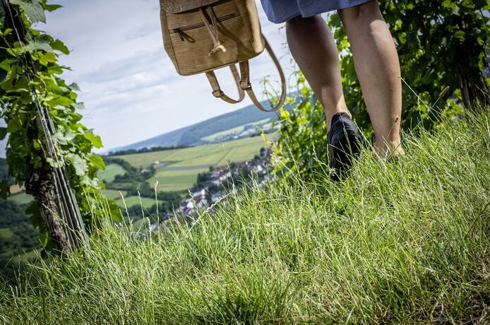 Imagen general del Ratskeller. Foto 5