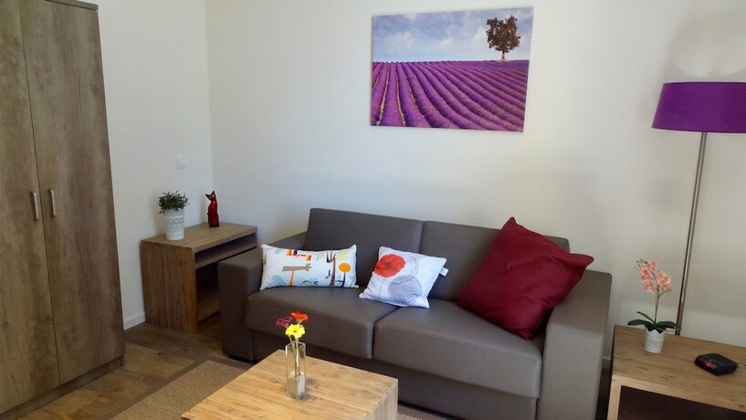 Imagen de la habitación del R&eacute;sidence Ch&acirc;teau Ferrassi&egrave;res. Foto 18