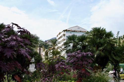 Imagen de la habitación del R&eacute;sidence Ch&acirc;teauneuf. Foto 7