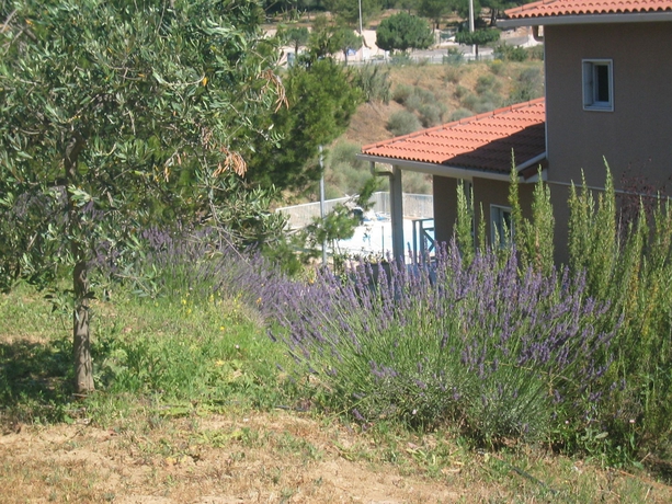 Imagen de los exteriores del Résidence Debussy. Foto 4