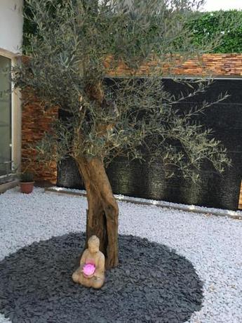 Imagen general del R&eacute;sidence Est&eacute;razur. Foto 10