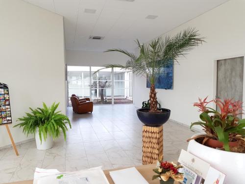 Imagen general del R&eacute;sidence Est&eacute;razur. Foto 13