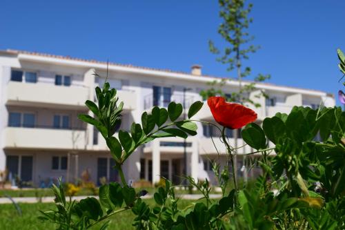 Imagen general del R&eacute;sidence Est&eacute;razur. Foto 18