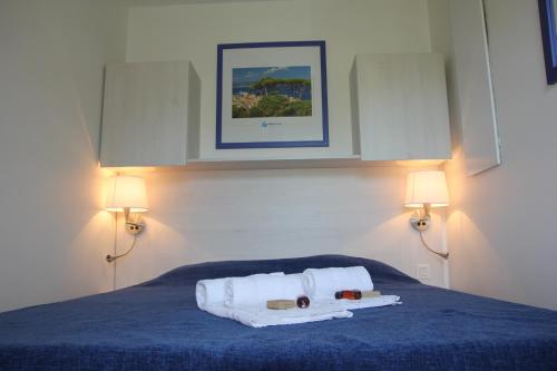 Imagen de la habitación del R&eacute;sidence Go&eacute;lia Le Domaine de la Pin&egrave;de. Foto 7