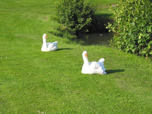 Imagen de los exteriores del Résidence Lagrange Vacances Les Hauts De Clairvallon. Foto 12