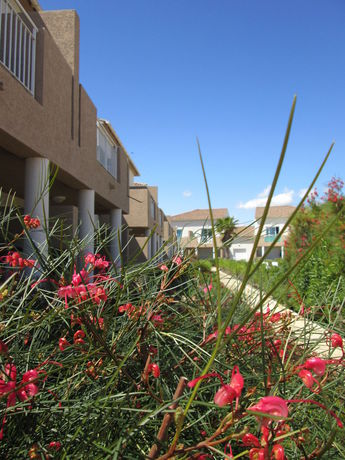 Imagen de la habitación del R&eacute;sidence Les Hauts Du Maquis. Foto 4