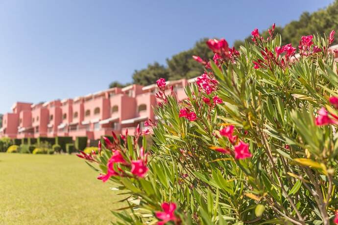 Imagen general del Résidence Pierre and Vacances Saint-Mandrier Les Jardins de la Côte d\'Azur. Foto 11