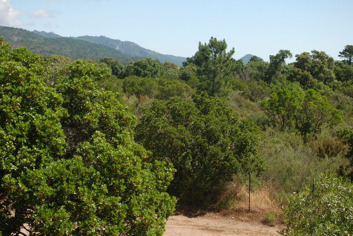 Imagen de los exteriores del R&eacute;sidence Riviera, Lecci. Foto 9