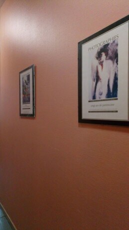 Imagen general del R&eacute;sidence le Pastel Fran&ccedil;ois Verdier. Foto 2