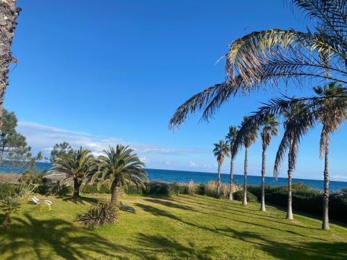 Imagen general del Résidence les chênes. Foto 7