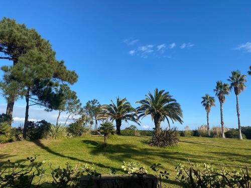 Imagen de la habitación del Résidence les chênes. Foto 19