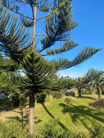 Imagen general del Résidence les chênes. Foto 8