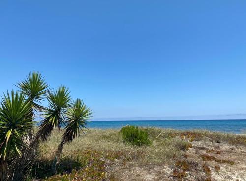 Imagen general del Résidence les chênes. Foto 10