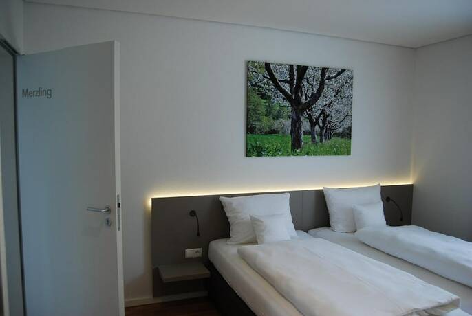 Imagen general del Rebgut - Die Weinherberge. Foto 12