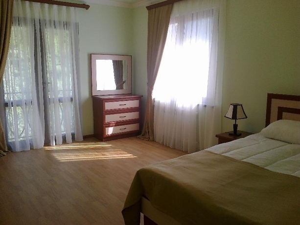 Imagen general del Red, Dilijan. Foto 3
