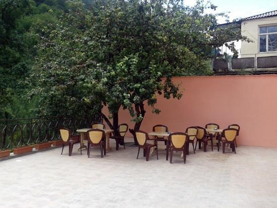 Imagen general del Red, Dilijan. Foto 9
