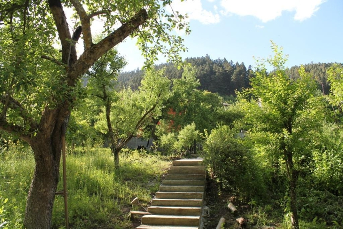 Imagen general del Red, Dilijan. Foto 13