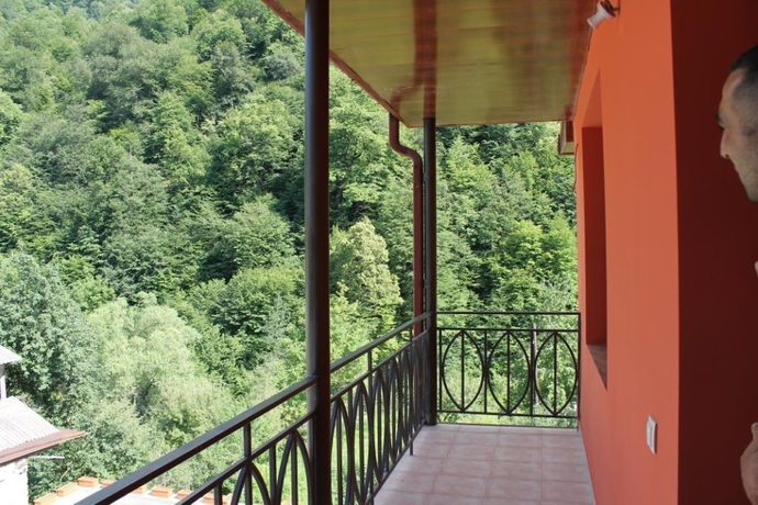 Imagen general del Red, Dilijan. Foto 14