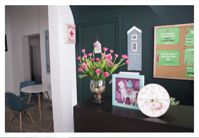 Imagen de los interiores del Red Llama Eco Hostel. Foto 19