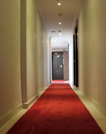 Imagen general del Red White Hotel. Foto 7