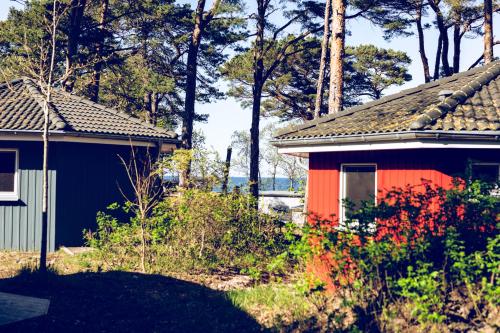 Imagen de la habitación del Regenbogen Göhren. Foto 14