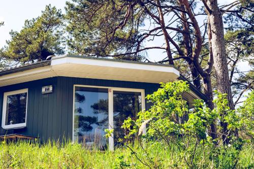 Imagen de la habitación del Regenbogen Göhren. Foto 15