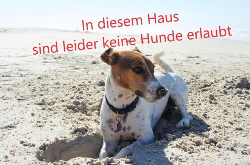 Imagen de la habitación del Regenbogen Göhren. Foto 19