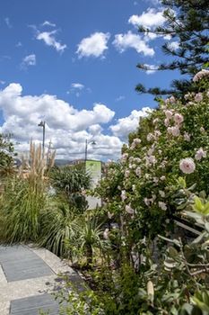 Imagen de la habitación del Regent Beach Hotel and Apartments. Foto 3