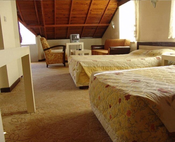 Imagen de la habitación del Reis Thermal Otel. Foto 4