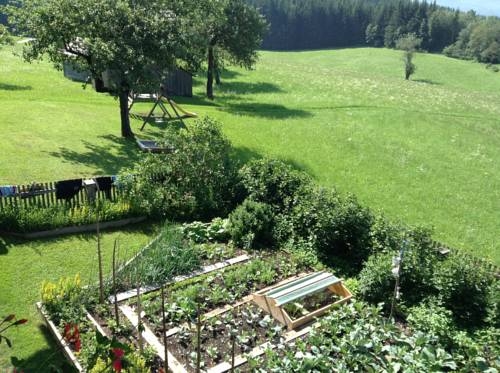 Imagen general del Reithartlhof. Foto 2