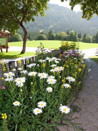 Imagen general del Reithartlhof. Foto 6